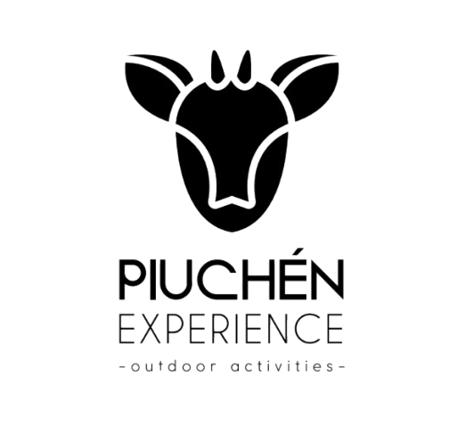 Piuchén Experience Logo