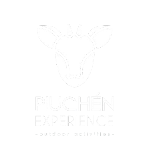 Piuchén Experience
